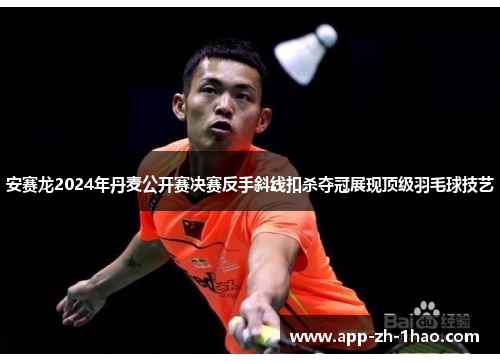 安赛龙2024年丹麦公开赛决赛反手斜线扣杀夺冠展现顶级羽毛球技艺