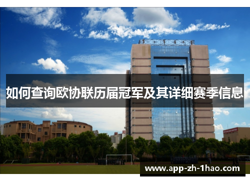 如何查询欧协联历届冠军及其详细赛季信息