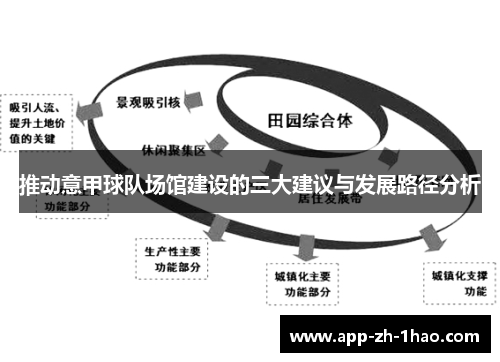 推动意甲球队场馆建设的三大建议与发展路径分析 推动意甲球队场馆建设的三大建议与发展路径分析