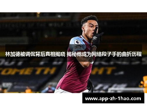 林加德被调侃背后真相揭晓 揭秘他成为网络段子手的曲折历程 林加德被调侃背后真相揭晓 揭秘他成为网络段子手的曲折历程