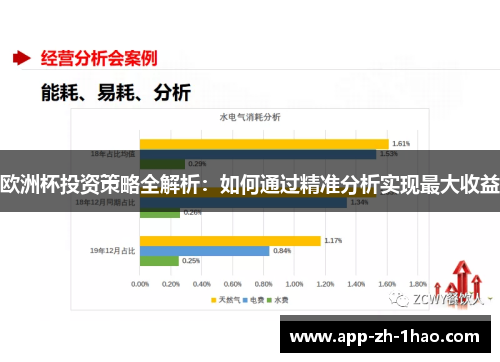 欧洲杯投资策略全解析:如何通过精准分析实现最大收益 欧洲杯投资策略全解析:如何通过精准分析实现最大收益