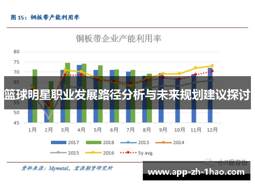 篮球明星职业发展路径分析与未来规划建议探讨 篮球明星职业发展路径分析与未来规划建议探讨
