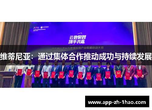 维蒂尼亚:通过集体合作推动成功与持续发展 维蒂尼亚:通过集体合作推动成功与持续发展