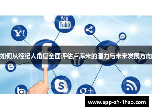 如何从经纪人角度全面评估卢库米的潜力与未来发展方向 如何从经纪人角度全面评估卢库米的潜力与未来发展方向