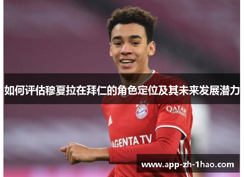 如何评估穆夏拉在拜仁的角色定位及其未来发展潜力 如何评估穆夏拉在拜仁的角色定位及其未来发展潜力
