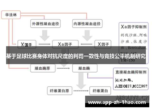 基于足球比赛身体对抗尺度的判罚一致性与竞技公平机制研究 基于足球比赛身体对抗尺度的判罚一致性与竞技公平机制研究